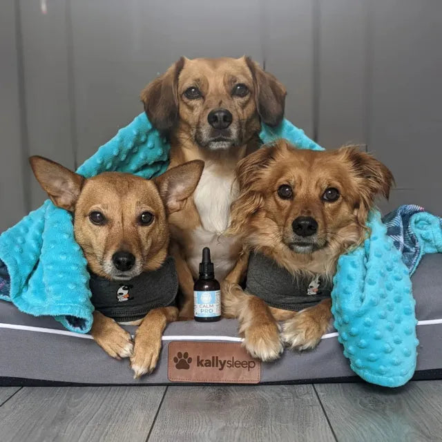 100% Natural Premium Calming Aid