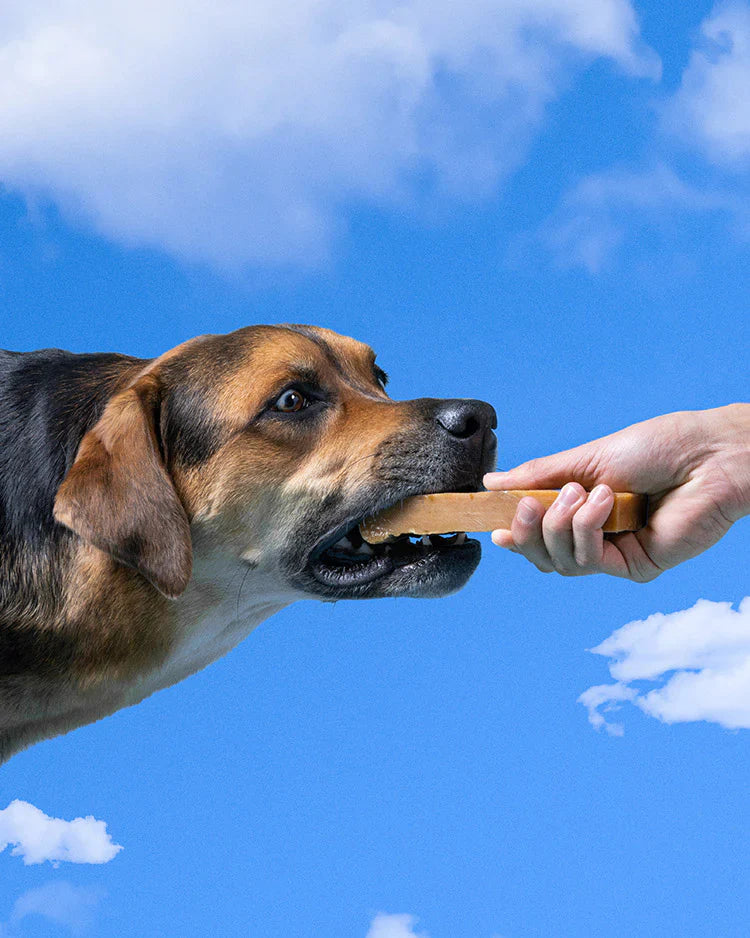 Yak Milk Bar Dog Chew - 3 Pieces