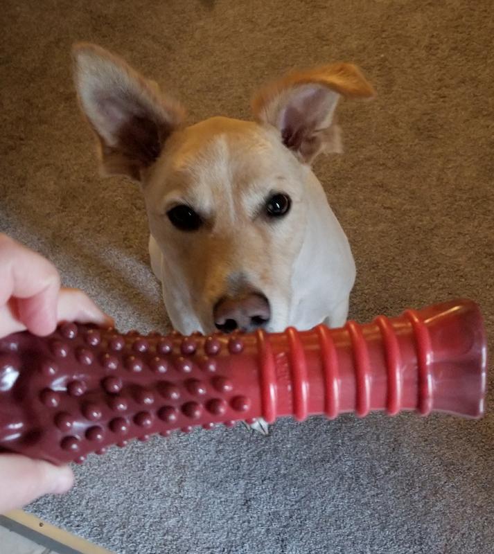 Flavored Bone Chew Toy