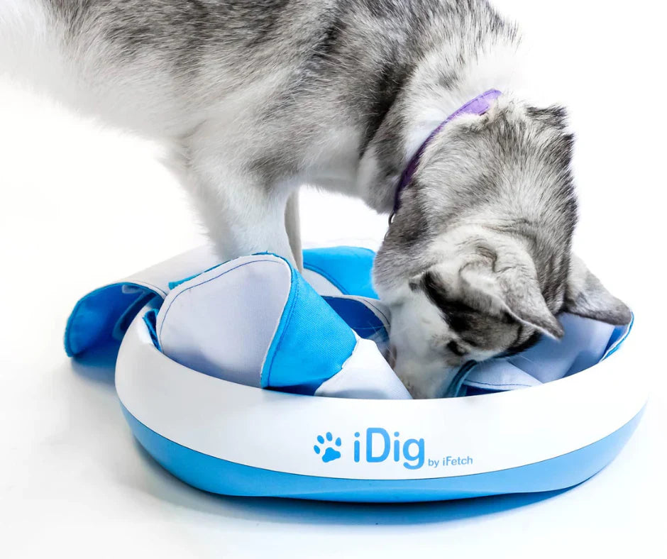 Dog Digging Toy