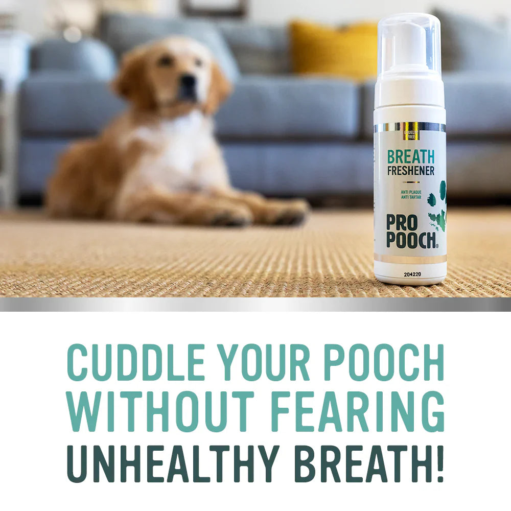 Dog Breath Freshener