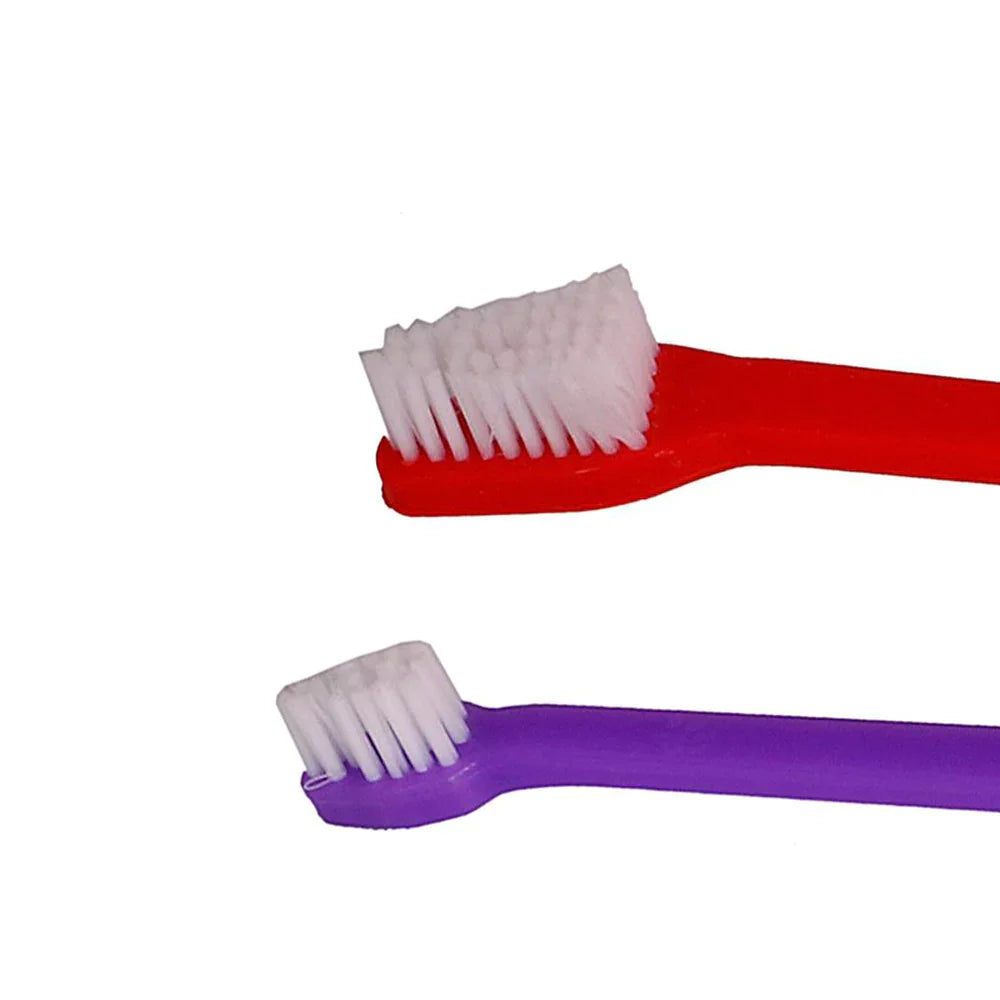 Double Ended Toothbrush