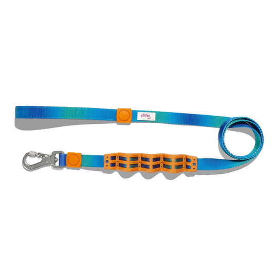 Shock Absorbing Dog Leash