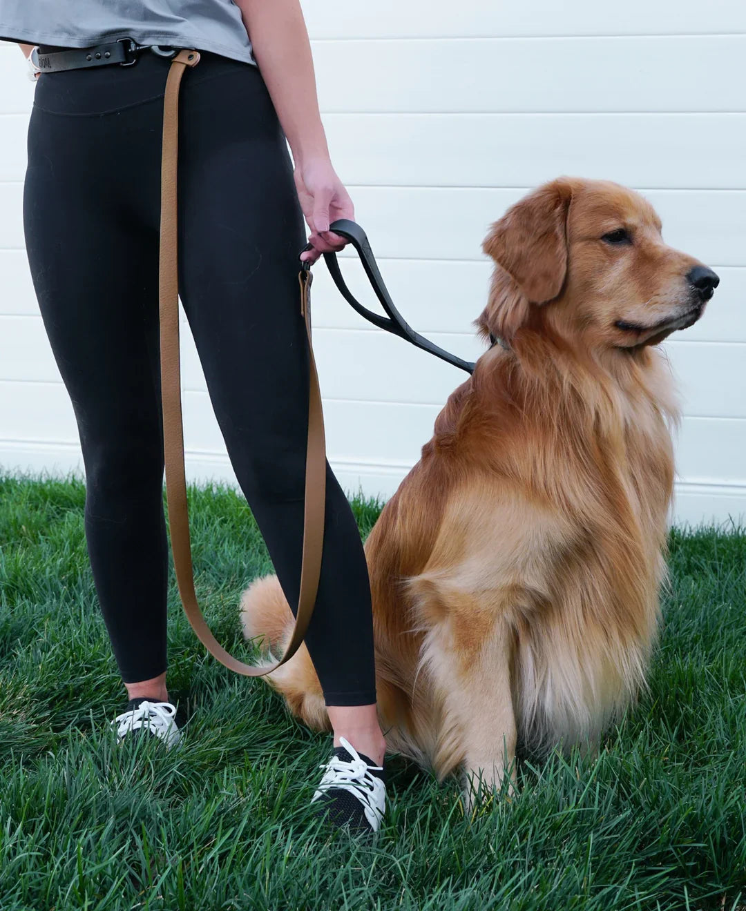 Multi-Use Dog Leash