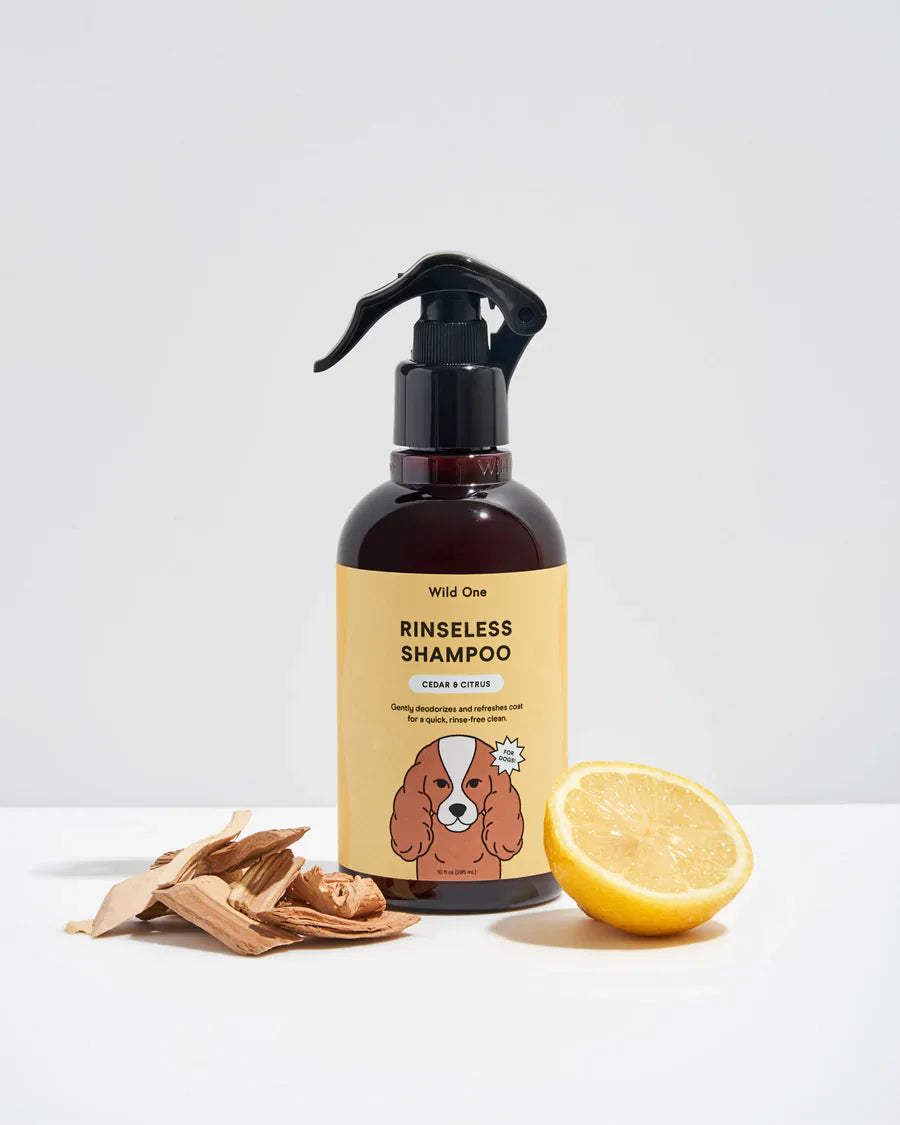 Dog Dry Shampoo
