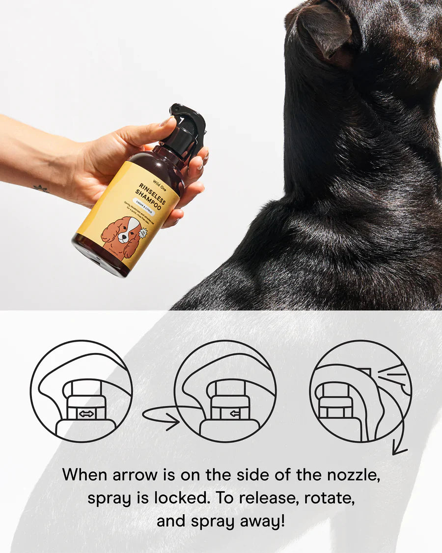 Dog Dry Shampoo