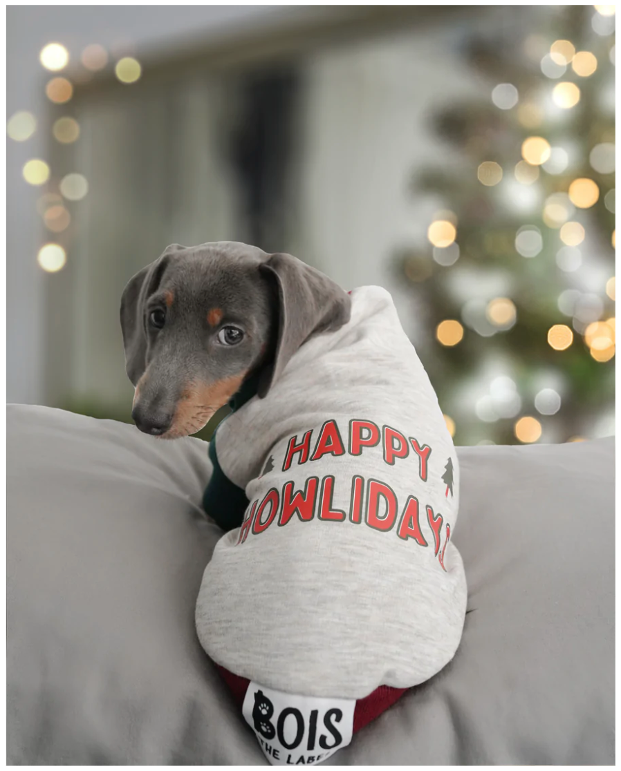 Happy Howlidays Matching Hoodies