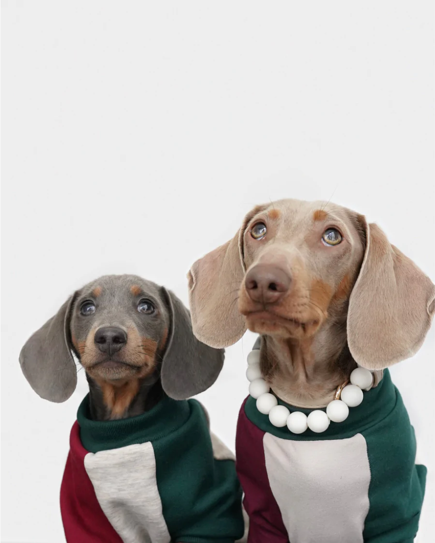 Happy Howlidays Matching Hoodies