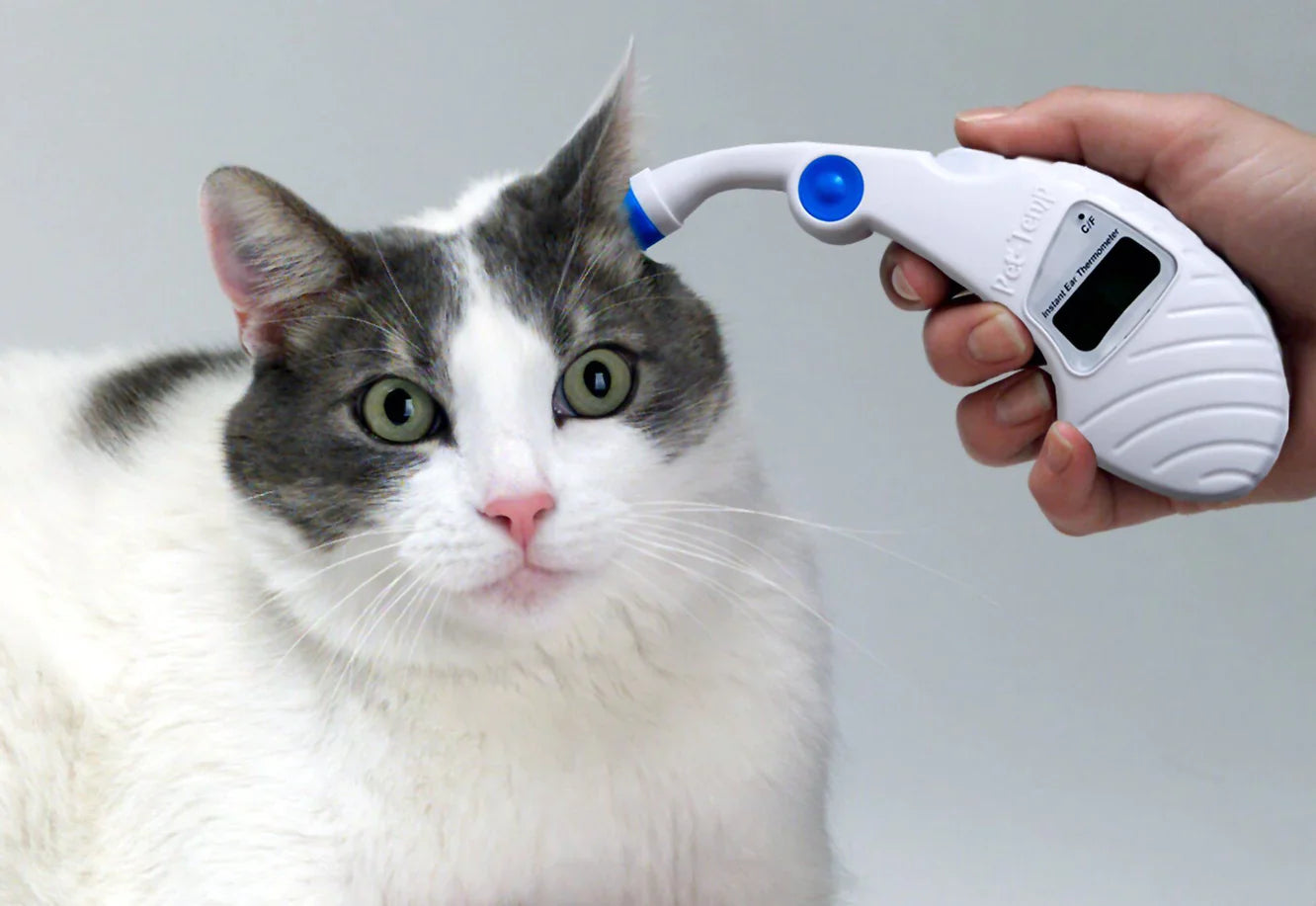 Instant Ear Thermometer