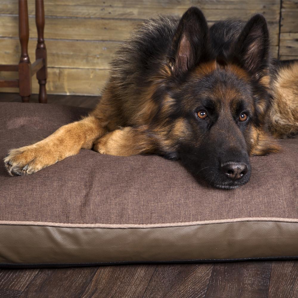 Orthopaedic Dog Mattress