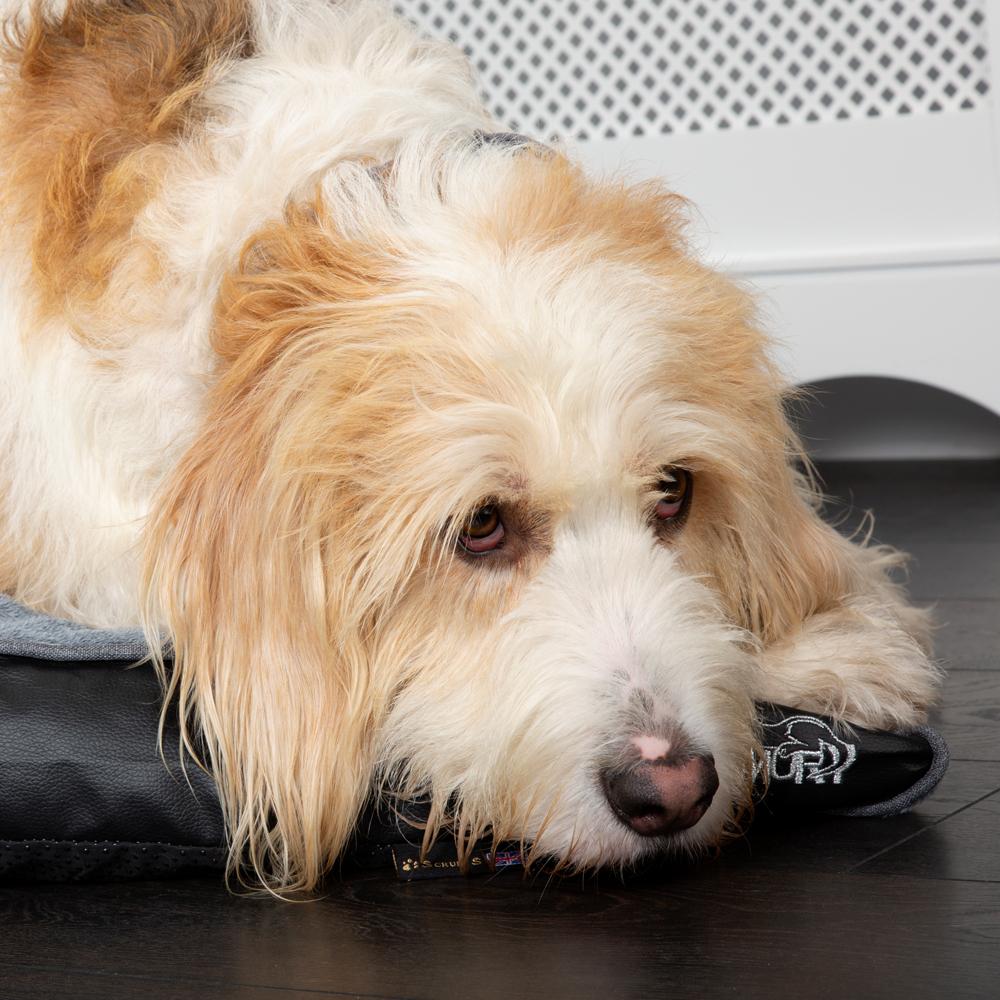 Orthopaedic Dog Mattress