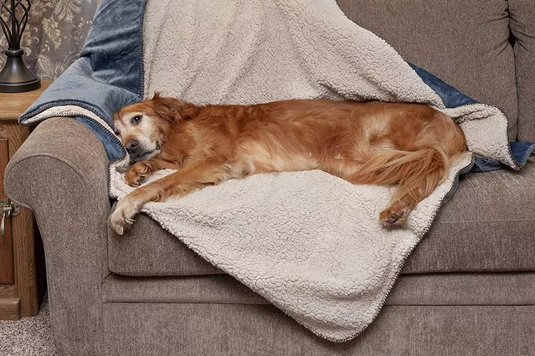 Heated Dog Blanket