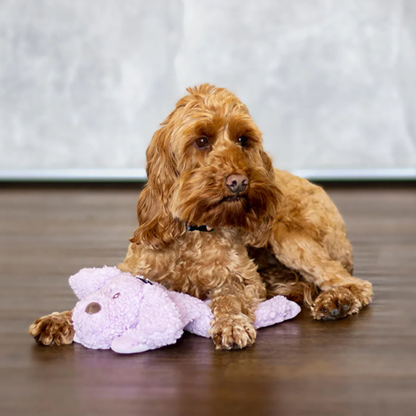 Dog Calming Toy