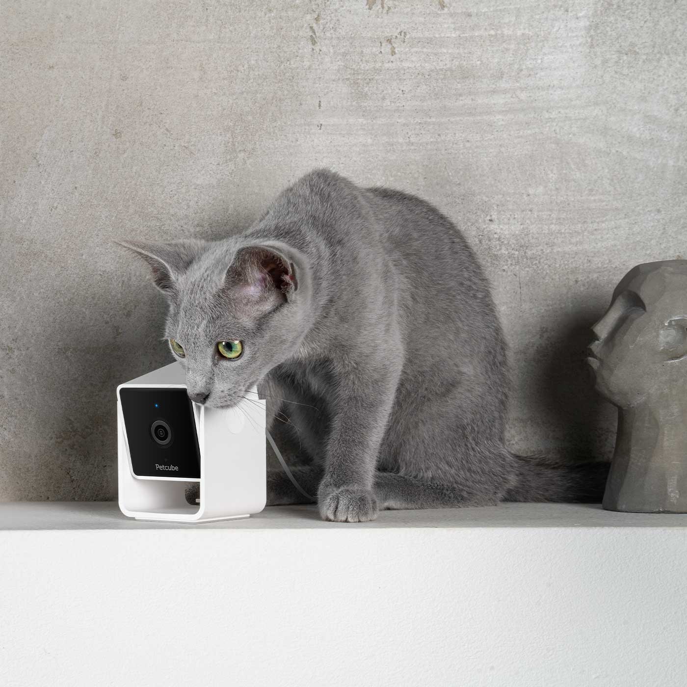 Petcube Pet Camera