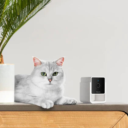Petcube Pet Camera