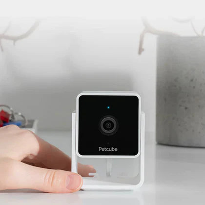 Petcube Pet Camera
