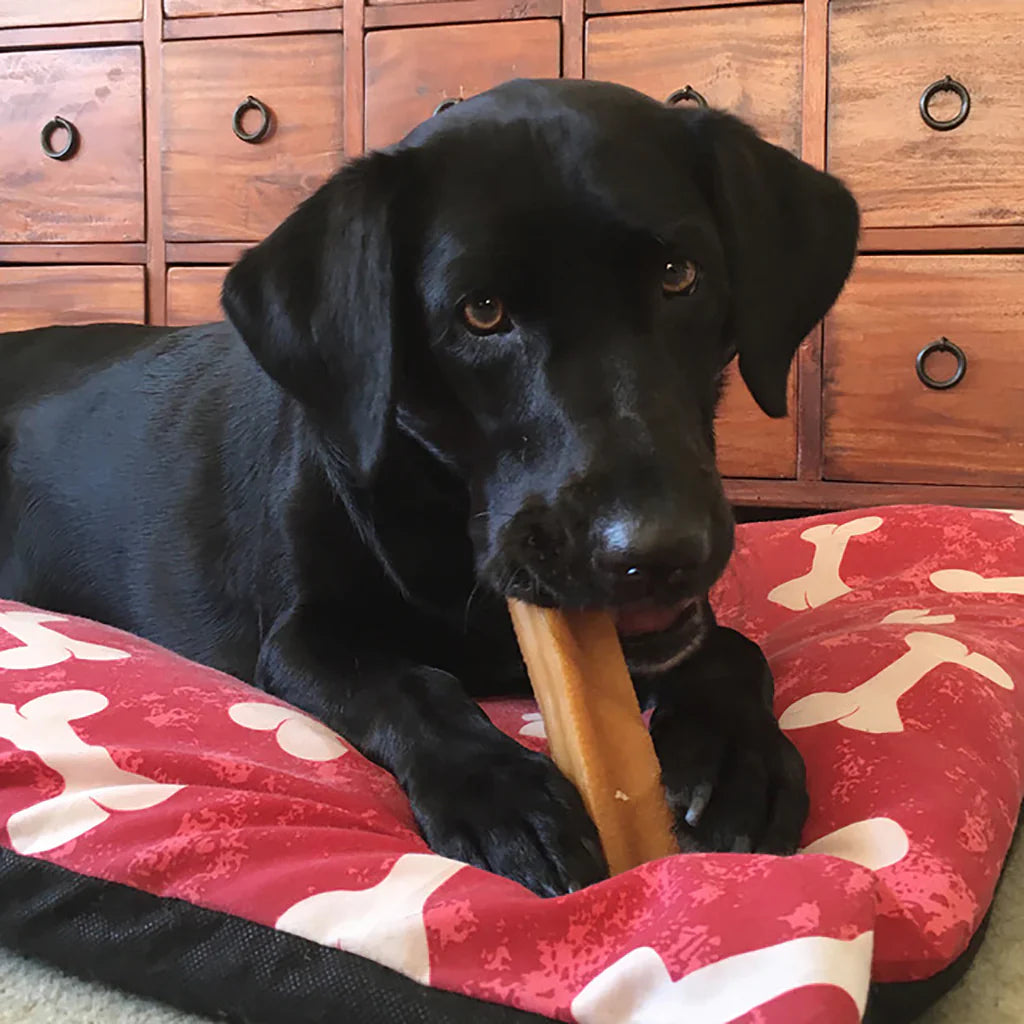 Yak Milk Bar Dog Chew - 3 Pieces