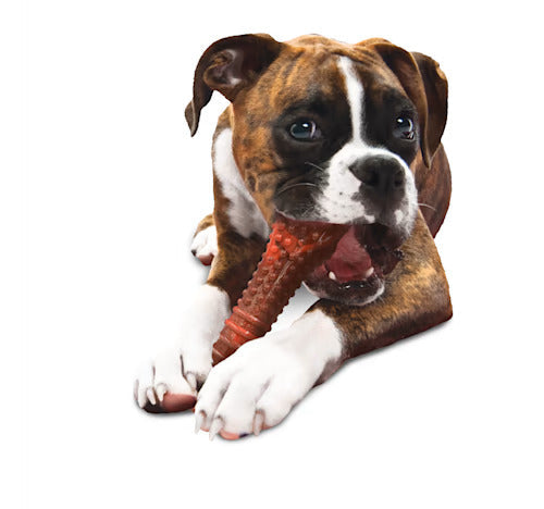 Flavored Bone Chew Toy