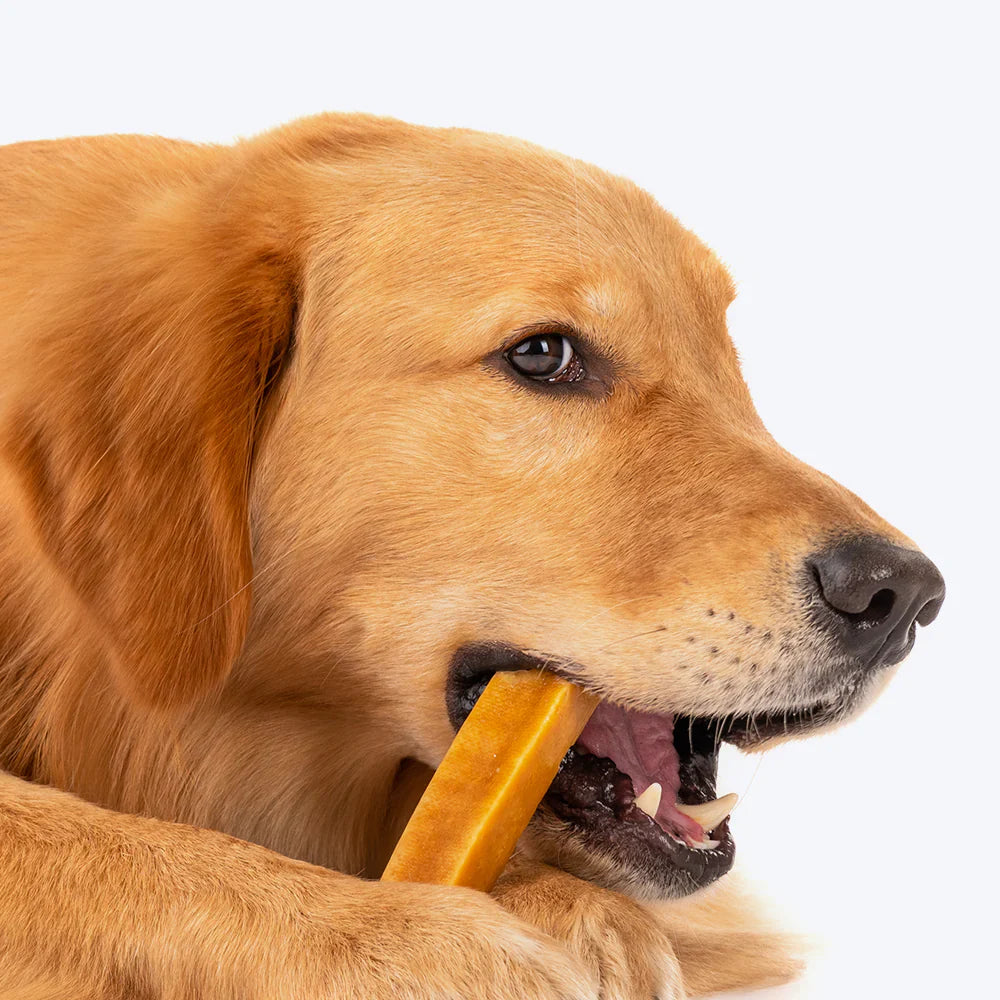 Yak Milk Bar Dog Chew - 3 Pieces