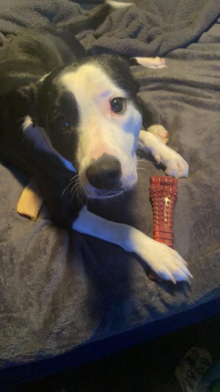 Flavored Bone Chew Toy