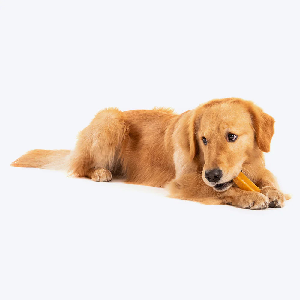 Yak Milk Bar Dog Chew - 3 Pieces