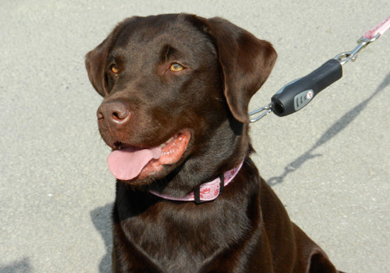 Ultrasonic Pull-Stopper