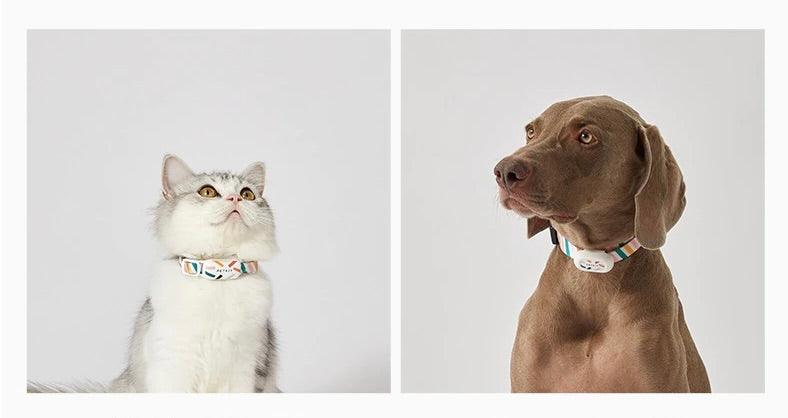 Smart Pet Tracker