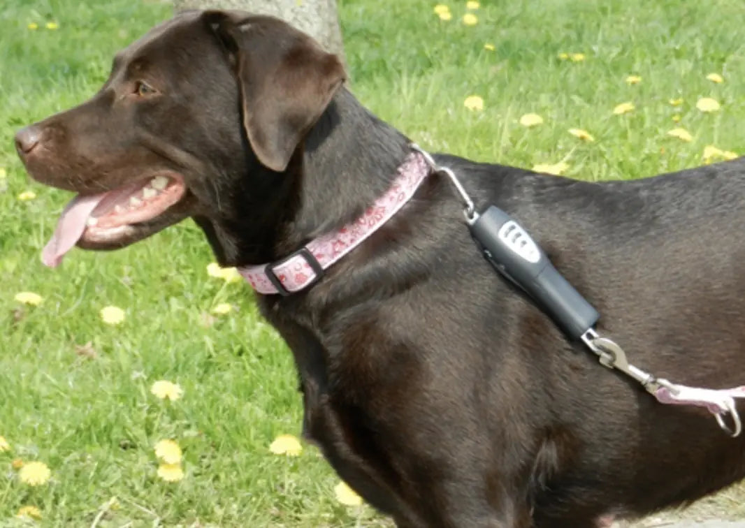 Ultrasonic Pull-Stopper