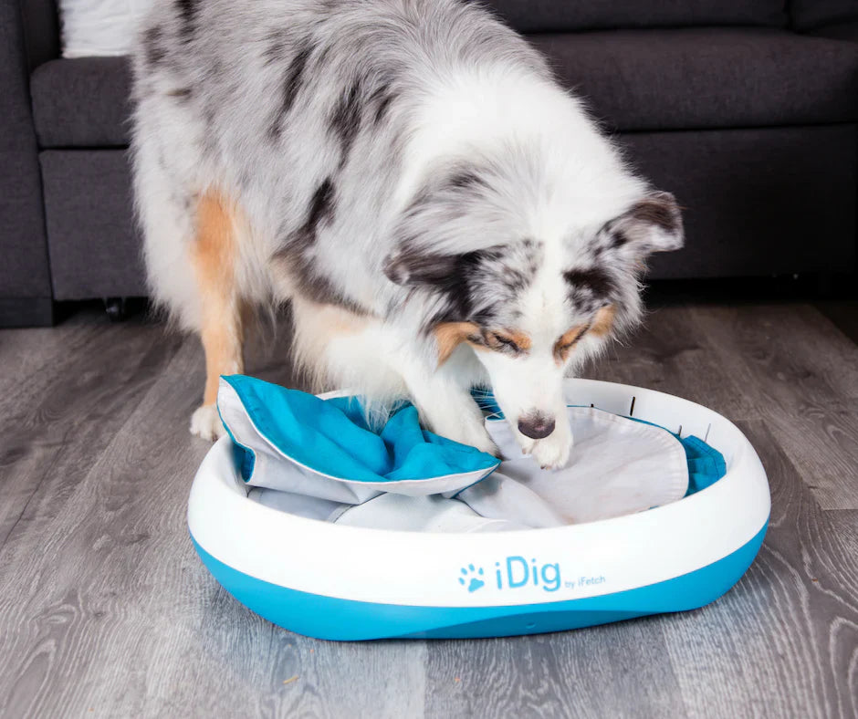 Dog Digging Toy