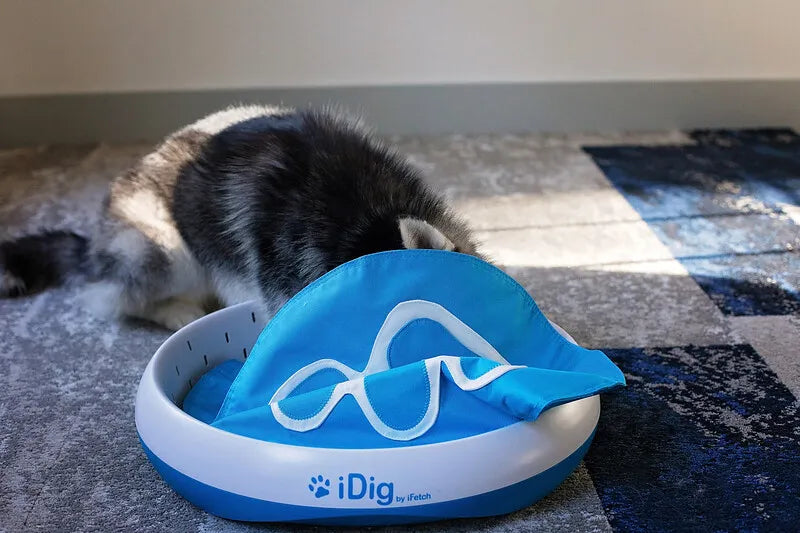 Dog Digging Toy