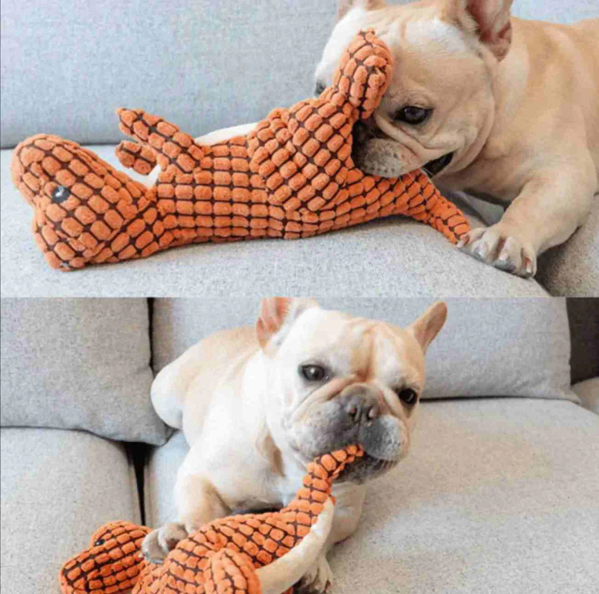 Indestructible DinoToy