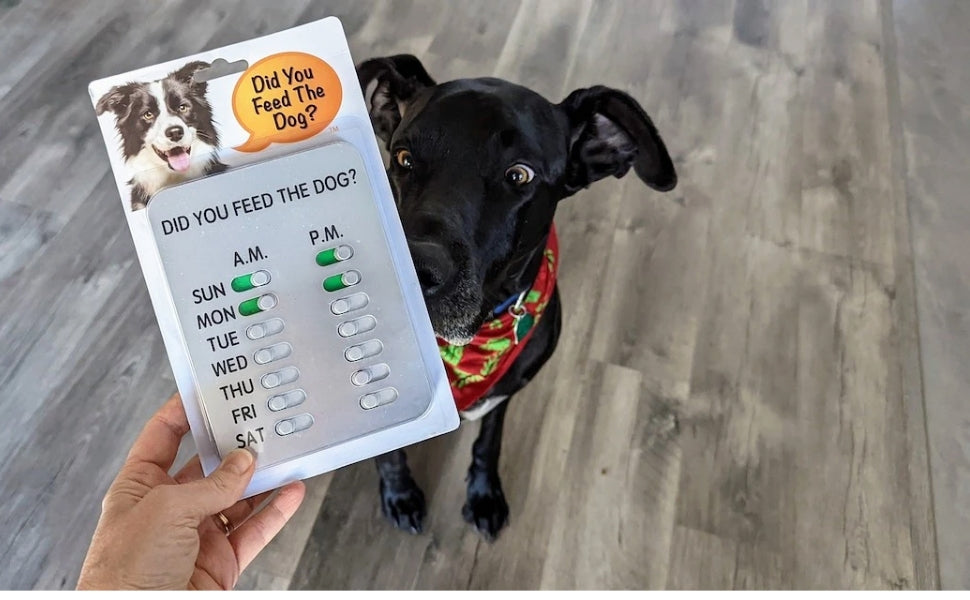 Dog Feeding Chart