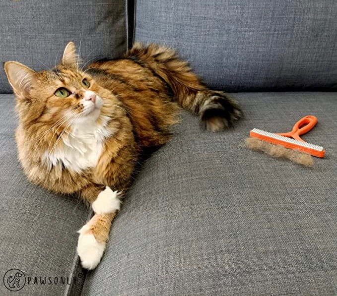 Reusable Pet Hair Remover