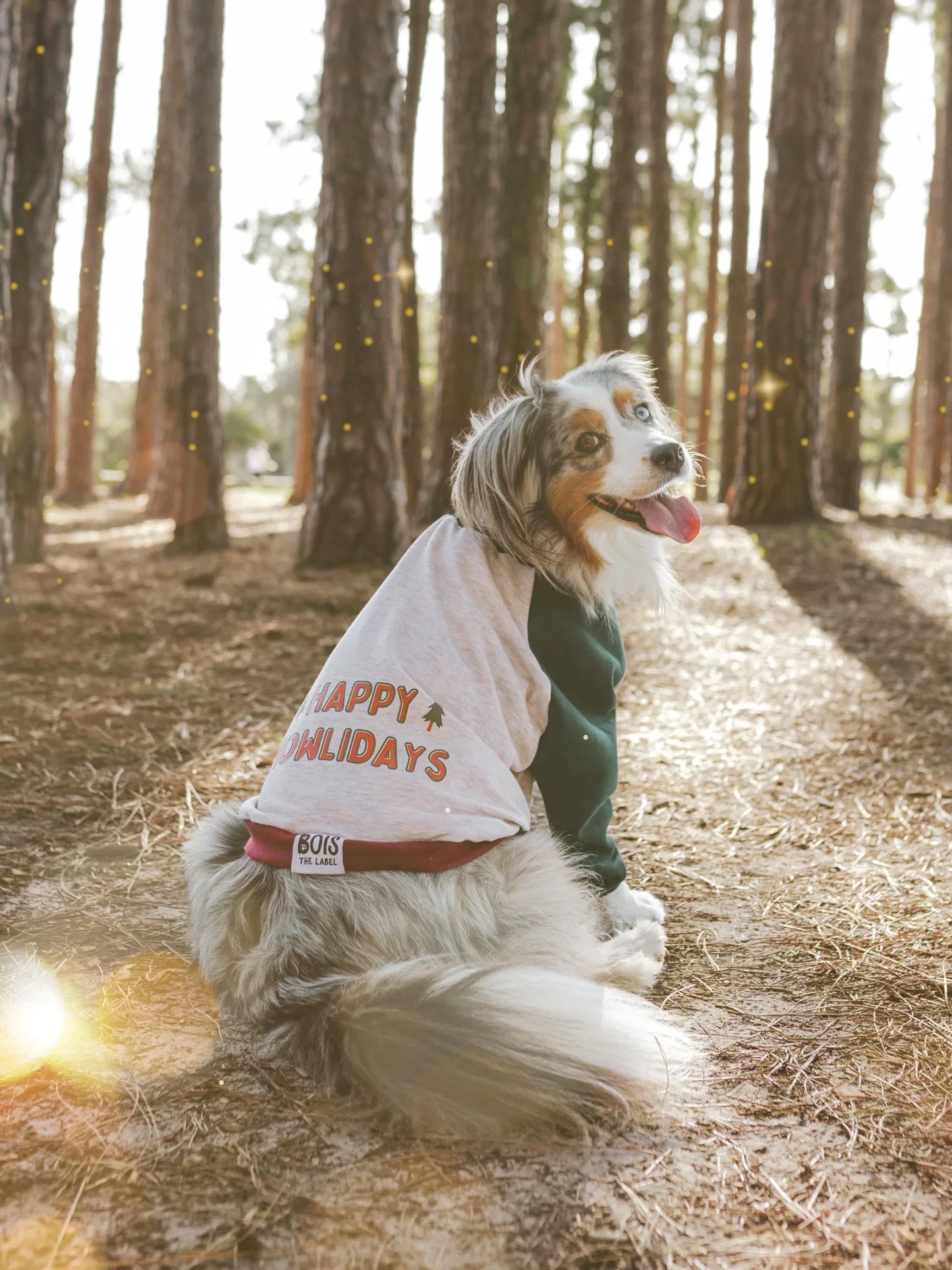 Happy Howlidays Matching Hoodies