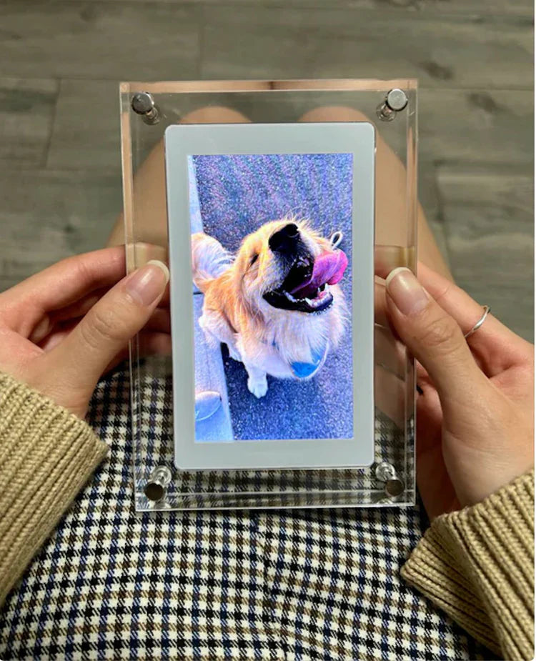 Paw Memory Frame