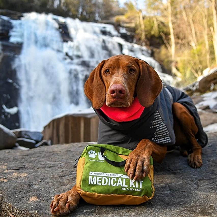 Dog Medical Kit