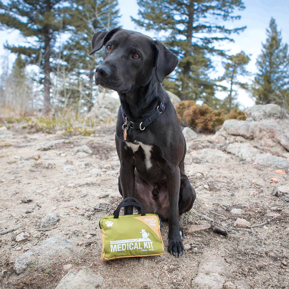 Dog Medical Kit