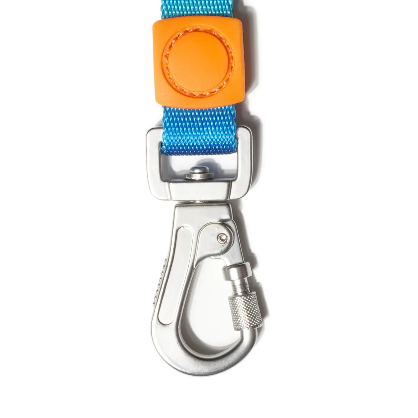 Shock Absorbing Dog Leash