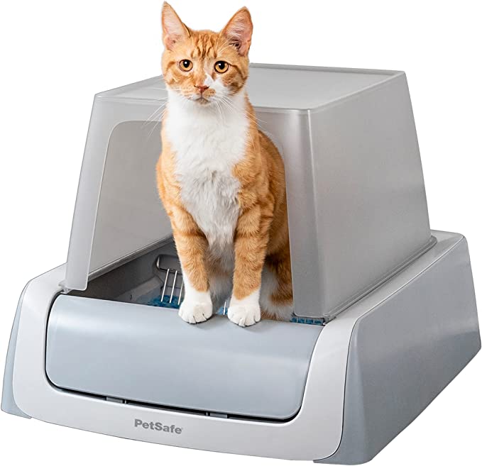 Automatic Litter Box