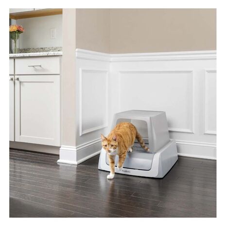 Automatic Litter Box
