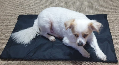 Healing Magnetic Pet Pad