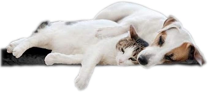 Healing Magnetic Pet Pad