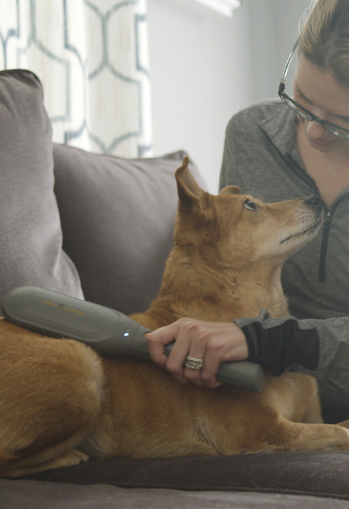Pet Massager Brush