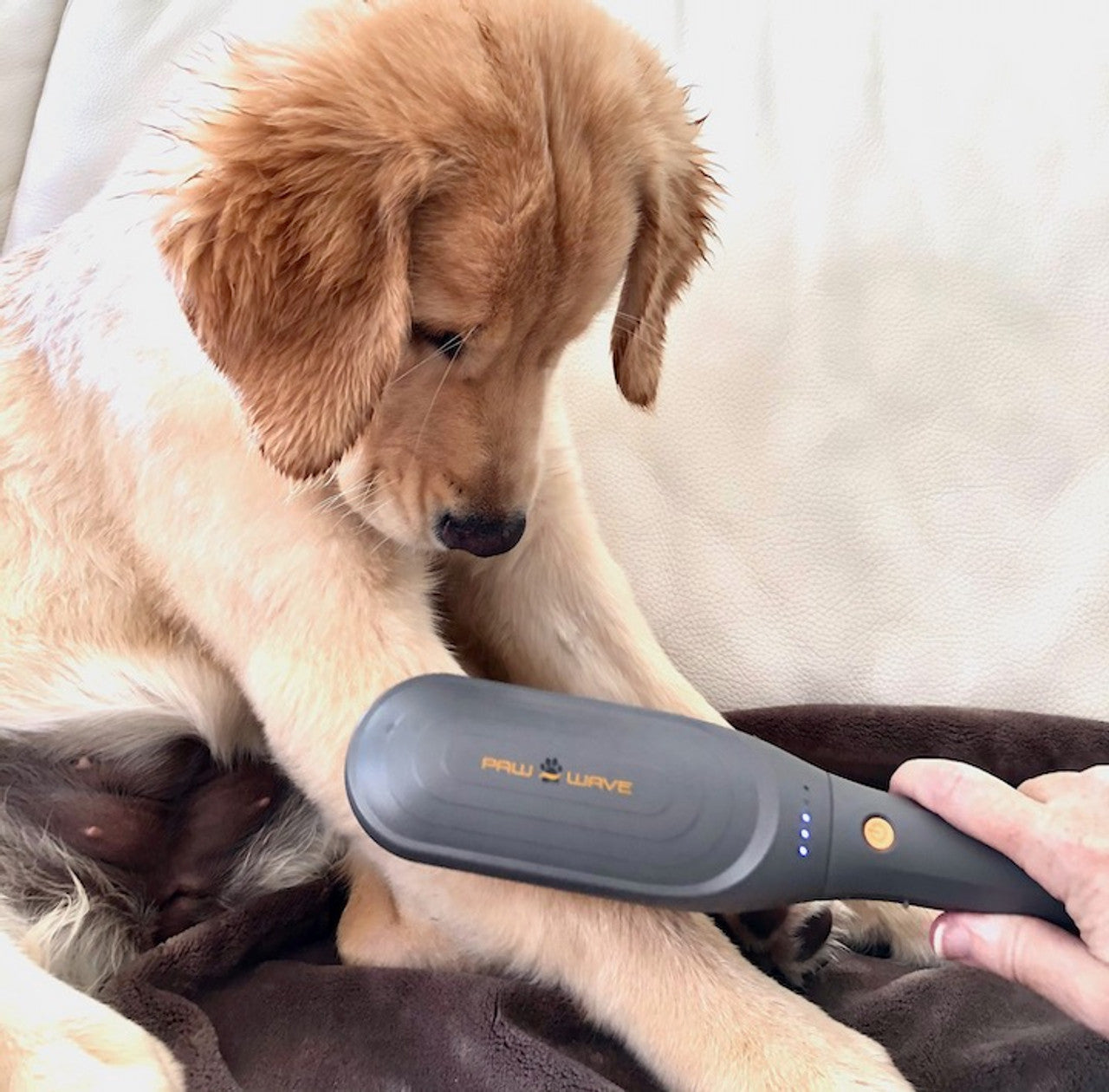 Pet Massager Brush