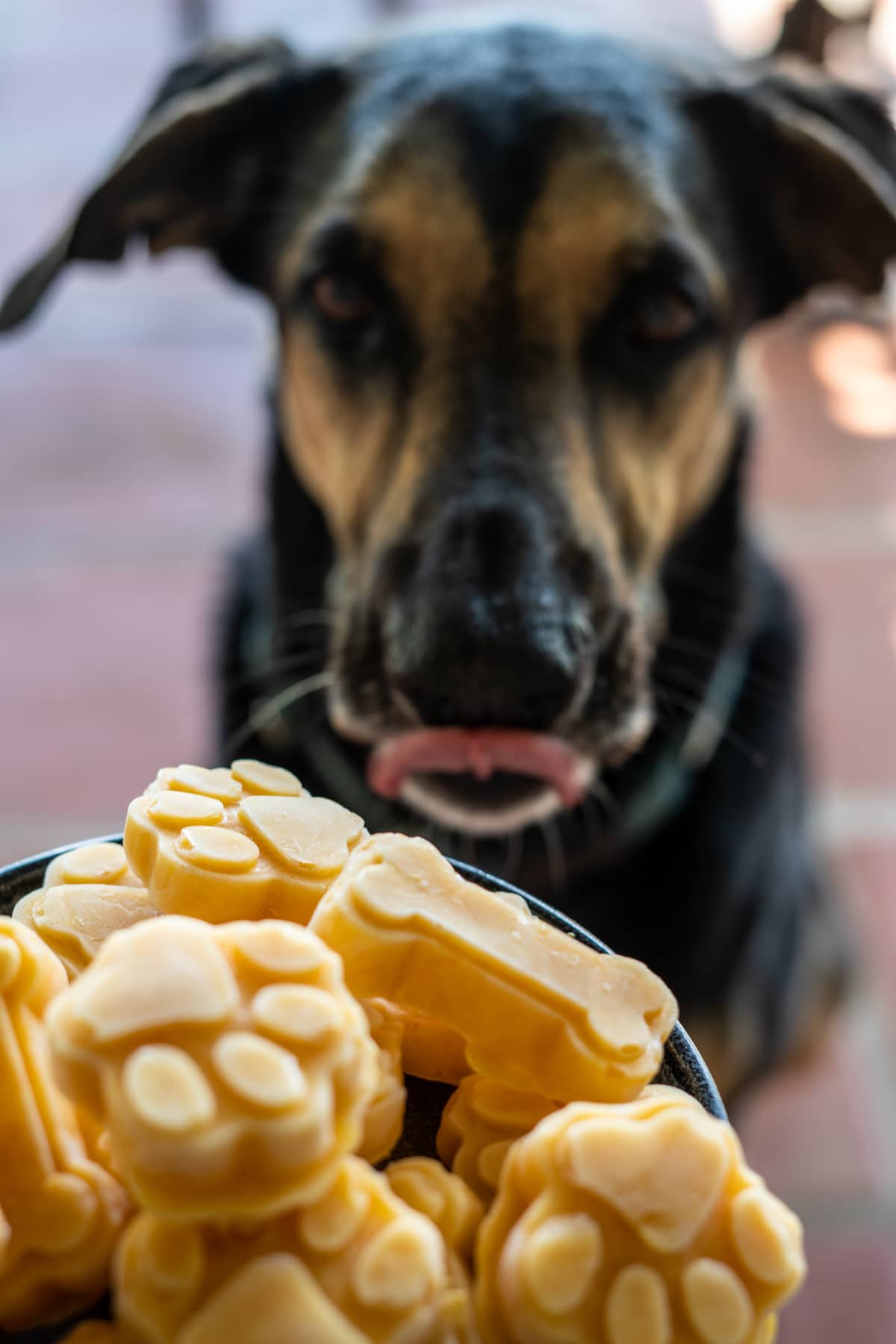Silicone Bake/Freeze Dog Treat Tray