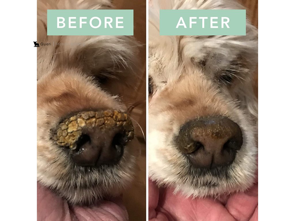 Dog Organic Nose Balm