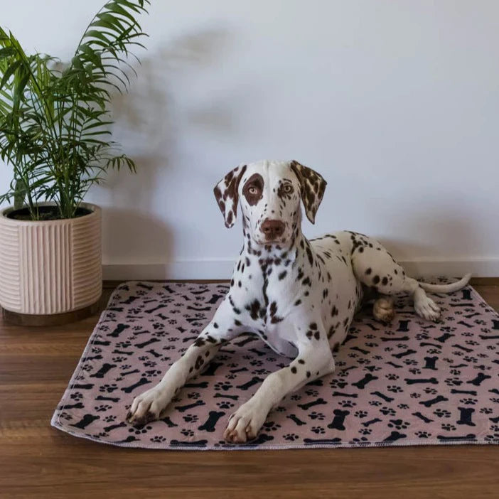 Reusable Pet Pads