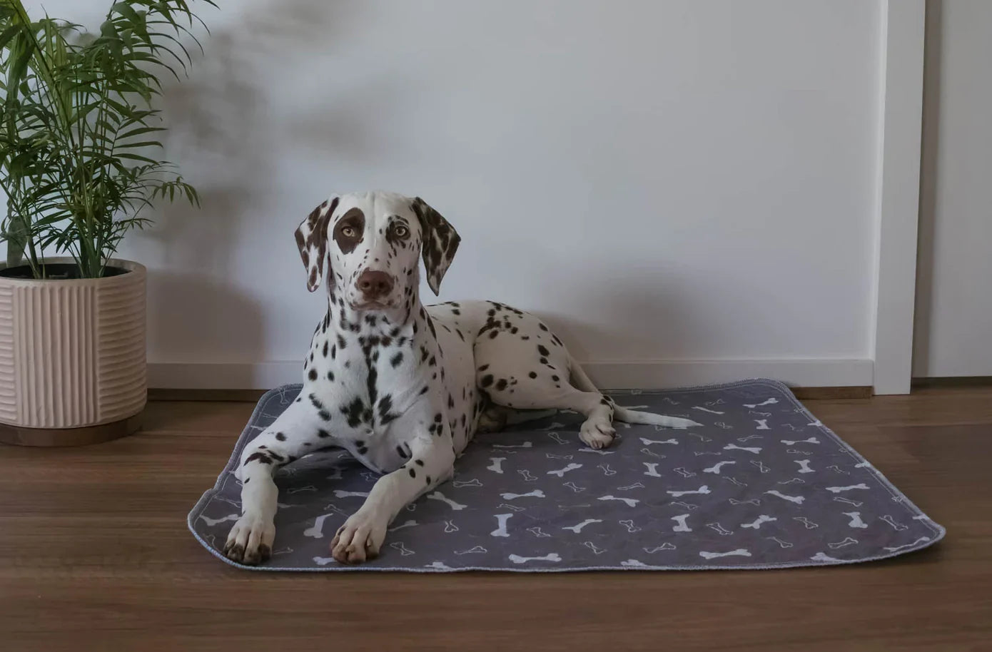 Reusable Pet Pads