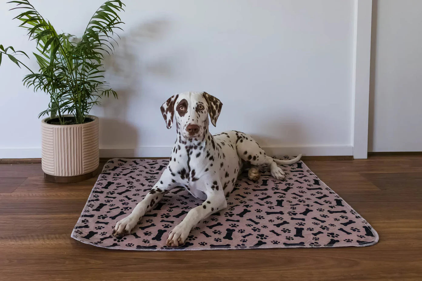 Reusable Pet Pads