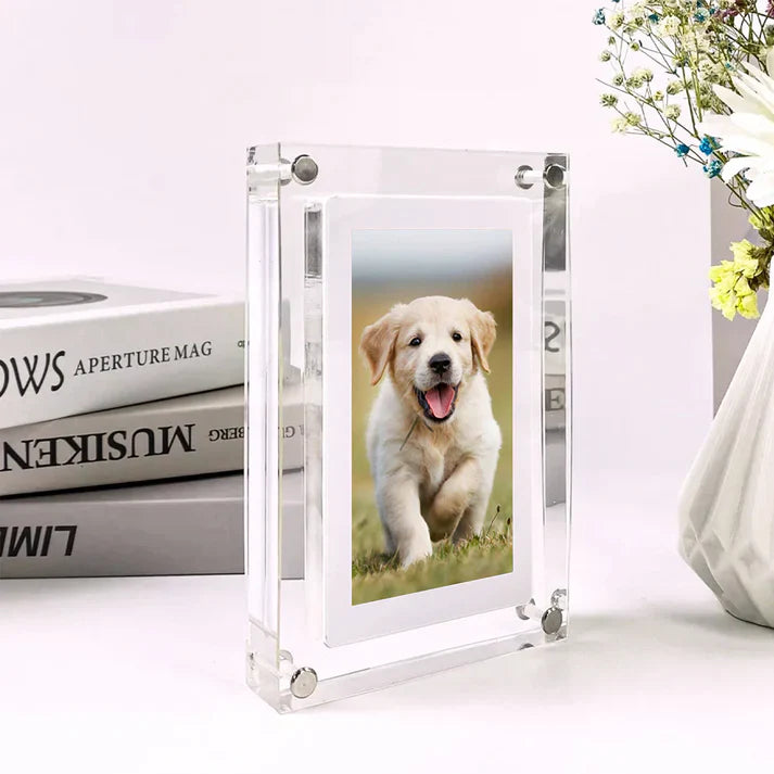 Paw Memory Frame